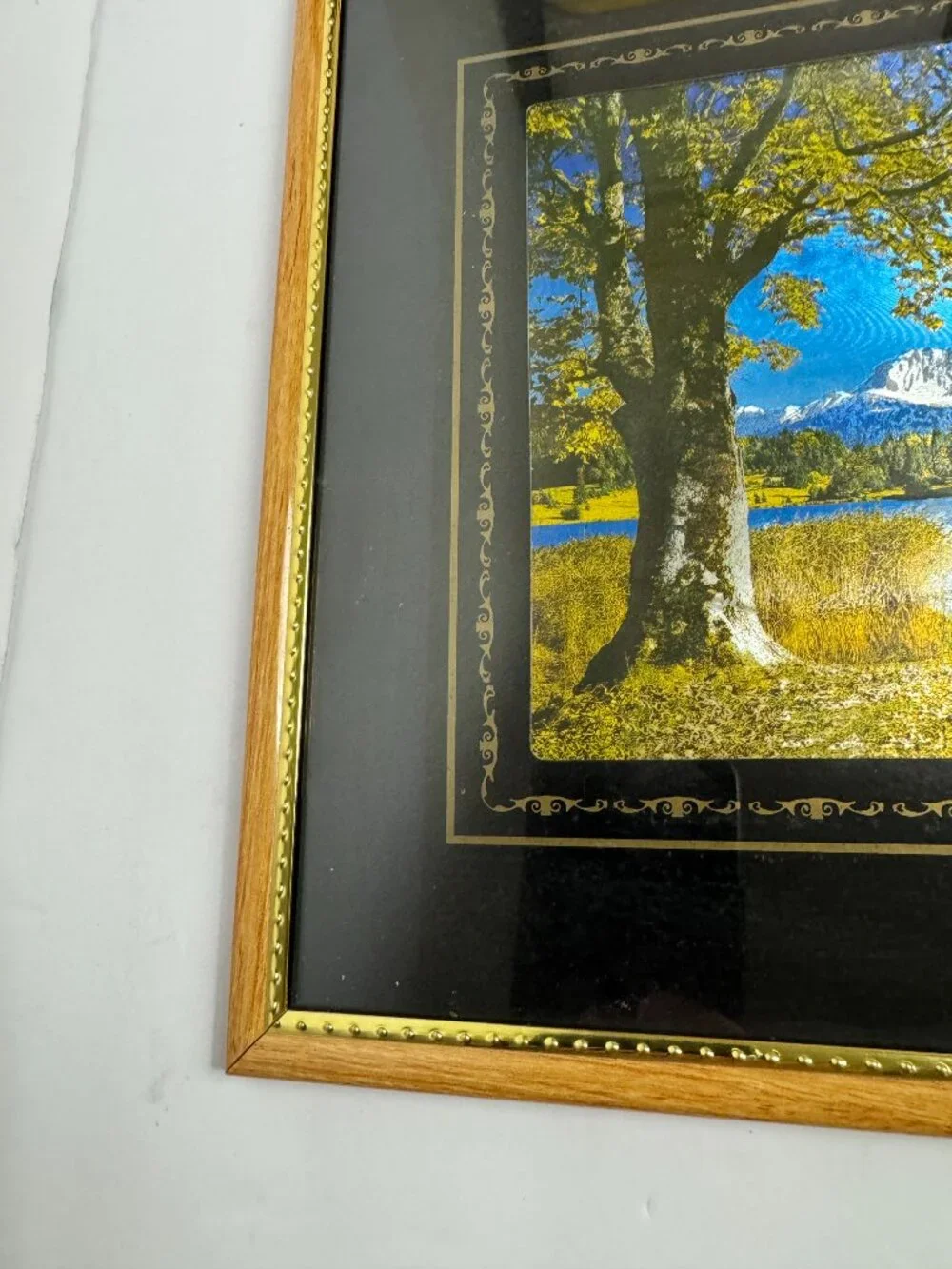 Vintage Holographic Landscape Print Framed Lake Mountain Scenic Wall Art 10x12